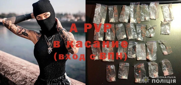 стафф Гусиноозёрск