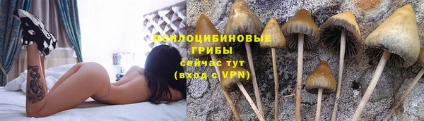 мдма Гусь-Хрустальный